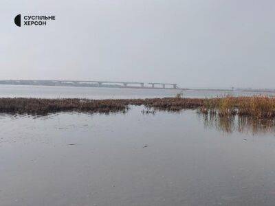 Сергей Шойгу - Владимир Зеленский - Алексей Резников - Валерий Залужный - В ОК "Юг" подтвердили, что оккупанты подорвали Антоновский мост - gordonua.com - Россия - Украина - Херсон - Херсонская обл. - Херсонская Область