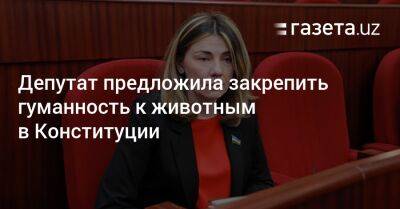Депутат предложила закрепить гуманность к животным в Конституции - gazeta.uz - Узбекистан - Германия - Новая Зеландия - Голландия