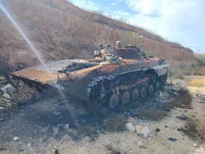 ЗСУ знищують до батальйону російських окупантів на Луганщині - lenta.ua - Украина - місто Херсон
