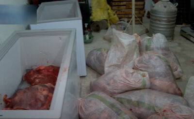 В Ташкент для распространения на рынках пытались ввезти свыше полтонны мяса неизвестных животных - podrobno.uz - Узбекистан - Ташкент - район Чиланзарский