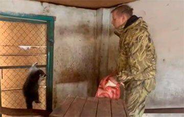 Появилось видео, как командование РФ лично ворует енотов из зоопарка в Херсоне - charter97.org - Россия - Белоруссия - Херсон
