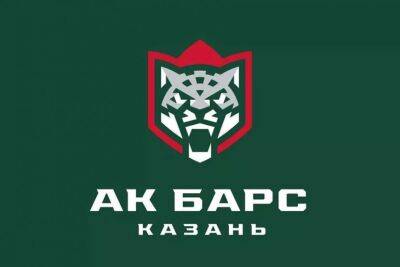 Знарок прокомментировал поражение "Ак Барса" в матче против "Авангарда" - sport.ru