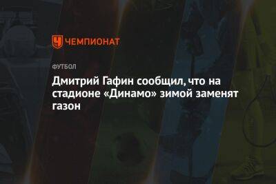 Антон Иванов - Дмитрий Гафин - Дмитрий Гафин сообщил, что на стадионе «Динамо» зимой заменят газон - championat.com - Москва