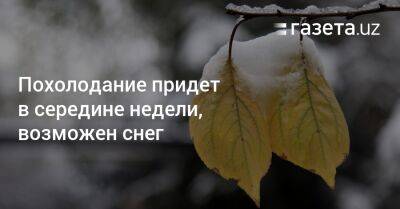 Похолодание придет в середине недели, возможен снег - gazeta.uz - Узбекистан - Навоийской обл.