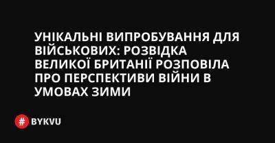 Унікальні випробування для військових: розвідка Великої Британії розповіла про перспективи війни в умовах зими - bykvu.com - Украина - Twitter