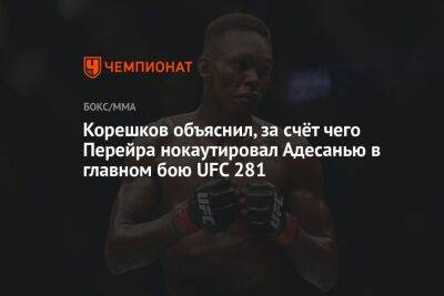 Андрей Корешков - Корешков объяснил, за счёт чего Перейра нокаутировал Адесанью в главном бою UFC 281 - championat.com - Россия - Бразилия - Новая Зеландия