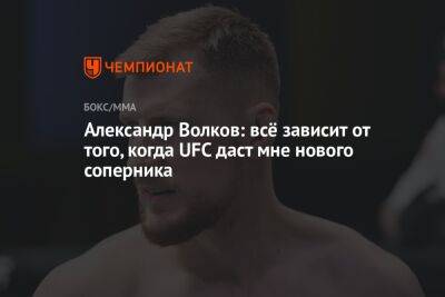 Александр Волков - Александр Волков: всё зависит от того, когда UFC даст мне нового соперника - championat.com - Россия - шт. Калифорния