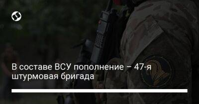 В составе ВСУ пополнение – 47-я штурмовая бригада - liga.net - Украина - Польша - Светлодарск - Донецкая обл.