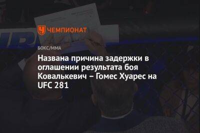 Гомес - Названа причина задержки в оглашении результата боя Ковалькевич – Гомес Хуарес на UFC 281 - championat.com - Польша - Аргентина - шт. Нью-Йорк