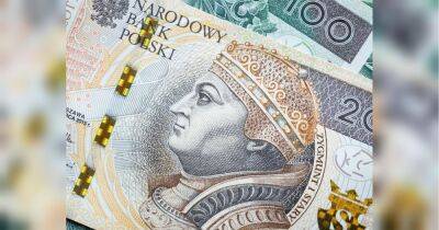 Українкам у Польщі пропонують по 20 тисяч злотих: як отримати гроші - fakty.ua - Украина