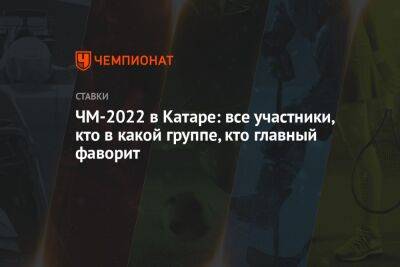 ЧМ-2022 в Катаре: все участники, кто в какой группе, кто главный фаворит - championat.com - Россия - Южная Корея - США - Украина - Англия - Швейцария - Бельгия - Австралия - Германия - Франция - Япония - Мексика - Бразилия - Польша - Иран - Испания - Канада - Гана - Саудовская Аравия - Хорватия - Сербия - Дания - Голландия - Португалия - Эквадор - Тунис - Аргентина - Камерун - Катар - Марокко - Уругвай - Сенегал - Коста Рика