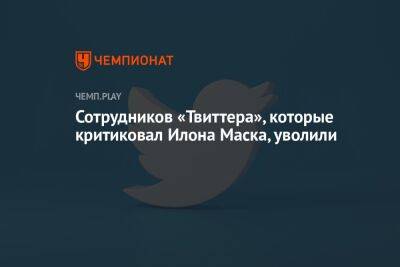 Илон Маск - Сотрудников «Твиттера», которые критиковали Илона Маска, уволили - championat.com