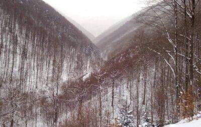 У Карпатах випав сніг та тримається мінусова температура - rbc.ua - Україна