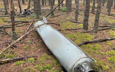 У лісі під Києвом знайшли уламки ще однієї збитої російської ракети (відео) - rbc.ua - Україна - Росія