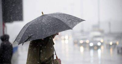 Погода на 17 ноября: Украину накроют дожди и мокрый снег, местами гололед - dsnews.ua - Украина - Киев - Крым - Киевская обл.