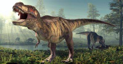 Тираннозавр был совсем не таким, как его изображают: что показало новое исследование - focus.ua - Украина - Канада - Оттава