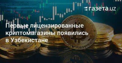 Первые лицензированные криптомагазины появились в Узбекистане - gazeta.uz - Узбекистан - Ташкент