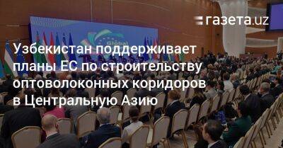 Узбекистан - Узбекистан поддерживает планы ЕС по строительству оптоволоконных коридоров в Центральную Азию - gazeta.uz - Узбекистан