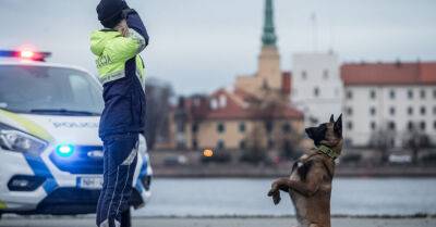 ФОТО: фотосессия кинологов полиции и погранслужбы в честь 18 ноября - rus.delfi.lv - Рига - Латвия