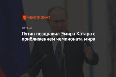 Владимир Путин - Путин поздравил эмира Катара с приближением чемпионата мира - championat.com - Россия - Катар