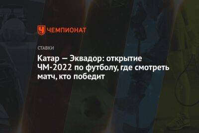 Маня Садио - Катар — Эквадор: открытие ЧМ-2022 по футболу, где смотреть матч, кто победит - championat.com - Россия - Эквадор - Катар