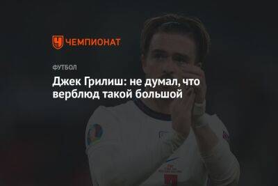 Джон Грилиш - Джек Грилиш: не думал, что верблюд такой большой - championat.com - Англия - Катар