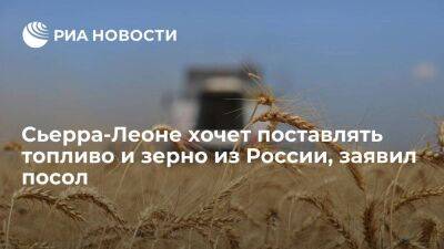 Посол в Москве заявил, что Сьерра-Леоне хочет поставлять топливо и зерно из России - smartmoney.one - Москва - Россия - Сьерра Леоне