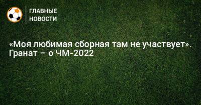 Владимир Гранат - «Моя любимая сборная там не участвует». Гранат – о ЧМ-2022 - bombardir.ru - Франция - Бразилия - Аргентина - Катар