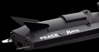 Андрюс Тапинас - "PEACE Дец", "PEACE Да" и "PEACE Дюк": Литва собрала деньги на морские дроны для Украины - focus.ua - Россия - Украина - Севастополь - Литва
