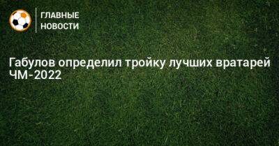 Владимир Габулов - Габулов определил тройку лучших вратарей ЧМ-2022 - bombardir.ru - Испания - Катар