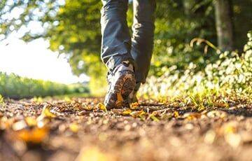 Зухра Павлова - Врач: 25 минут ежедневной ходьбы значительно улучшат здоровье - charter97.org - Белоруссия