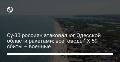 Су-30 россиян атаковал юг Одесской области ракетами: все "оводы" Х-59 сбиты – военные - liga.net - Россия - Украина - Одесская обл.