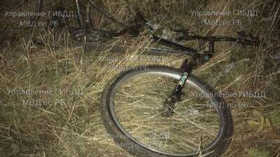 В Башкирии иномарка сбила насмерть двух подростков-велосипедистов - usedcars.ru - Россия - Башкирия - район Уфимский