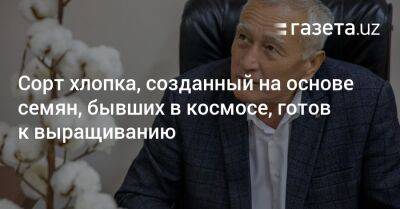 Владимир Александрович - Сорт хлопка, созданный на основе семян, бывших в космосе, готов к выращиванию - gazeta.uz - Узбекистан