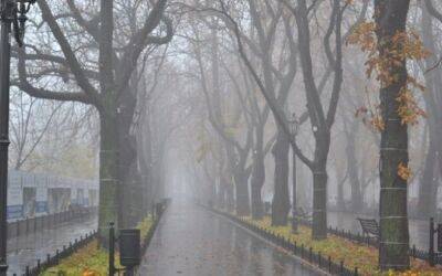 Прогноз погоды в Одессе на 21 ноября - odessa-life.od.ua - Украина - Одесса