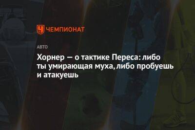 Кристиан Хорнер - Шарль Леклер - Серхио Перес - Хорнер — о тактике Переса: либо ты умирающая муха, либо пробуешь и атакуешь - championat.com - Абу-Даби