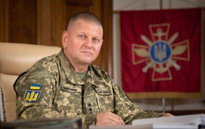 Ви - завжди перші! Залужний потужним відео привітав захисників із Днем Десантно-штурмових військ - rbc.ua - Україна