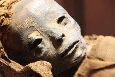 Археологи виявили татуювання на давньоєгипетських муміях(Фото) - lenta.ua - Украина - Єгипет