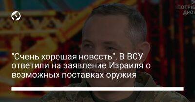 Юрий Игнат - "Очень хорошая новость". В ВСУ ответили на заявление Израиля о возможных поставках оружия - liga.net - Россия - Украина - Израиль - Иран