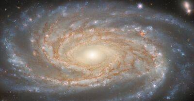 Вселенная - Огромная спиральная галактика поможет астрономам решить одну из самых больших загадок в астрономии - focus.ua - Украина