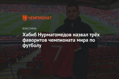 Хабиб Нурмагомедов - Хабиб Нурмагомедов назвал трёх фаворитов чемпионата мира по футболу - championat.com - Англия - Бельгия - Германия - Франция - Бразилия - Испания - Хорватия - Голландия - Аргентина - Катар