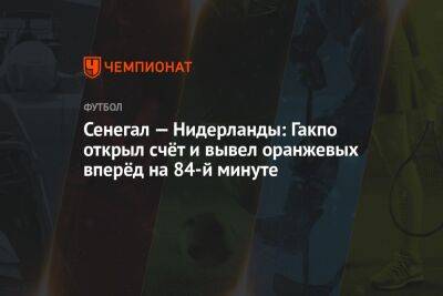 Сенегал — Нидерланды: Гакпо открыл счёт и вывел оранжевых вперёд на 84-й минуте - championat.com - Голландия - Эквадор - Катар - Сенегал