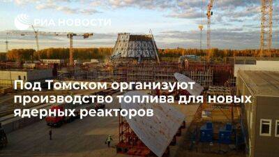 Под Томском организуют производство топлива для ядерных реакторов БРЕСТ и БН-1200 - smartmoney.one - Свердловская обл. - Томск
