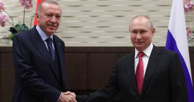 Меч Эрдогана и коготь Путина. Зачем турецкому президенту маленькая победная война - dsnews.ua - Россия - Сирия - Украина - Турция - Ирак - Анкара - Стамбул - Курдистан