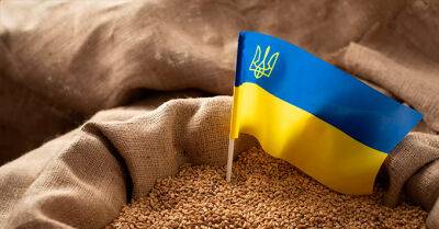 Україна знизила експорт зерна на 31,7% до 16,2 млн тонн з початку 2022/2023 - bin.ua - Украина - Україна - місто Одеса