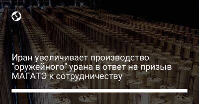 Дональд Трамп - Иран увеличивает производство "оружейного" урана в ответ на призыв МАГАТЭ к сотрудничеству - liga.net - Россия - Китай - США - Украина - Англия - Германия - Франция - Иран - Тегеран