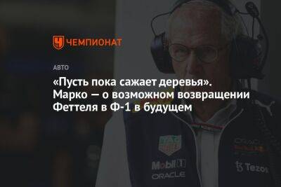 Фернандо Алонсо - Хельмут Марко - Себастьян Феттель - «Пусть пока сажает деревья». Марко — о возможном возвращении Феттеля в Ф-1 в будущем - championat.com - Абу-Даби