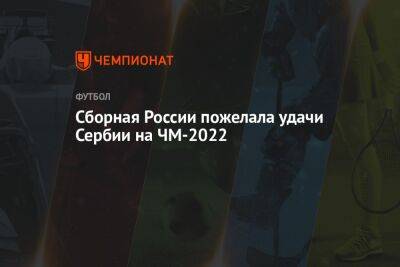 Сборная России пожелала удачи Сербии на ЧМ-2022 - championat.com - Россия - Бразилия - Сербия - Катар