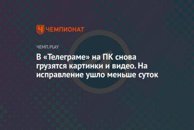 Павел Дуров - В «Телеграме» на ПК снова грузятся картинки и видео. На исправление ушло меньше суток - championat.com