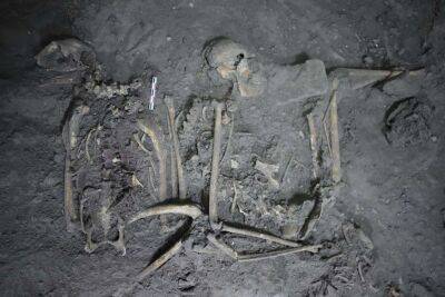 Майя - Археологи знайшли у Теотіуакані павукоподібну мавпу віком 1700 років (Фото) - lenta.ua - Украина - Мексика - Гондурас